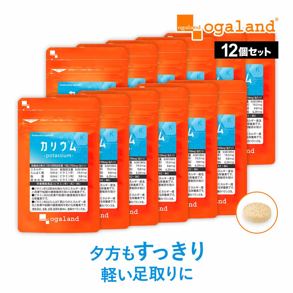 【新発売】カリウム （約12ヶ月分）栄養機能食品送料無料 サプリメント コーンシルク はとむぎ クエン酸 ビタミンB1 B2 B6 ブドウ種子エキス 美容 デスクワーク カリウム不足 ミネラル ナトリウム 塩分 ポリフェノール むくみっくす とも相性◎ オーガランド 1年分