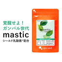 【エントリーで最大11倍】mastic - マスティック - （約1ヶ月分）送料無料 サプリメント サプリ シールド乳酸菌 &#174;配合 マスティックオイル 乳酸菌 ビタミンE 配合。 健康 美容 ケア にオススメ オーガランド 【M】 _在管
