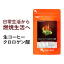 生コーヒークロロゲン酸（約1ヶ月分）クロロゲン酸 燃焼系 ダイエット サプリ 生豆 コーヒー 珈琲 カフェイン ポリフェノール ダイエット オーガランド バイオペリン 健康 送料無料 _JD_JH