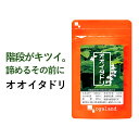 オオイタドリ（約6ヶ月分）大痛取 ヒアルロン酸 送料無料 サプリメント サプリ 運動時の違和感に！ グルコサミンとの…