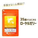 ローヤルゼリー （約3ヶ月分）送料無料 サプリメント サプリ はちみつ より手軽♪ 「 美容 に話題 ローヤルゼリー」 エイジングケア 健康 ハチミツよりすごい 美容サプリ ロイヤルゼリー ogaland オーガランド _JB_JH