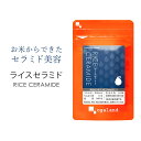 ライスセラミド（約1ヶ月分）送料無料 化粧水 や 美容液 よりも手軽な サプリメント サプリ 米美容 コラーゲン の働きをサポートする 【M】 _JB_JH