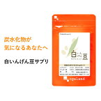 白いんげん豆サプリ（約12ヶ月分）送料無料 サプリメント サプリ ダイエットサプリ 白インゲン豆 ファビノール 糖質カット 炭水化物 桑の葉 オーガランド 大容量 【1年分】 _JD