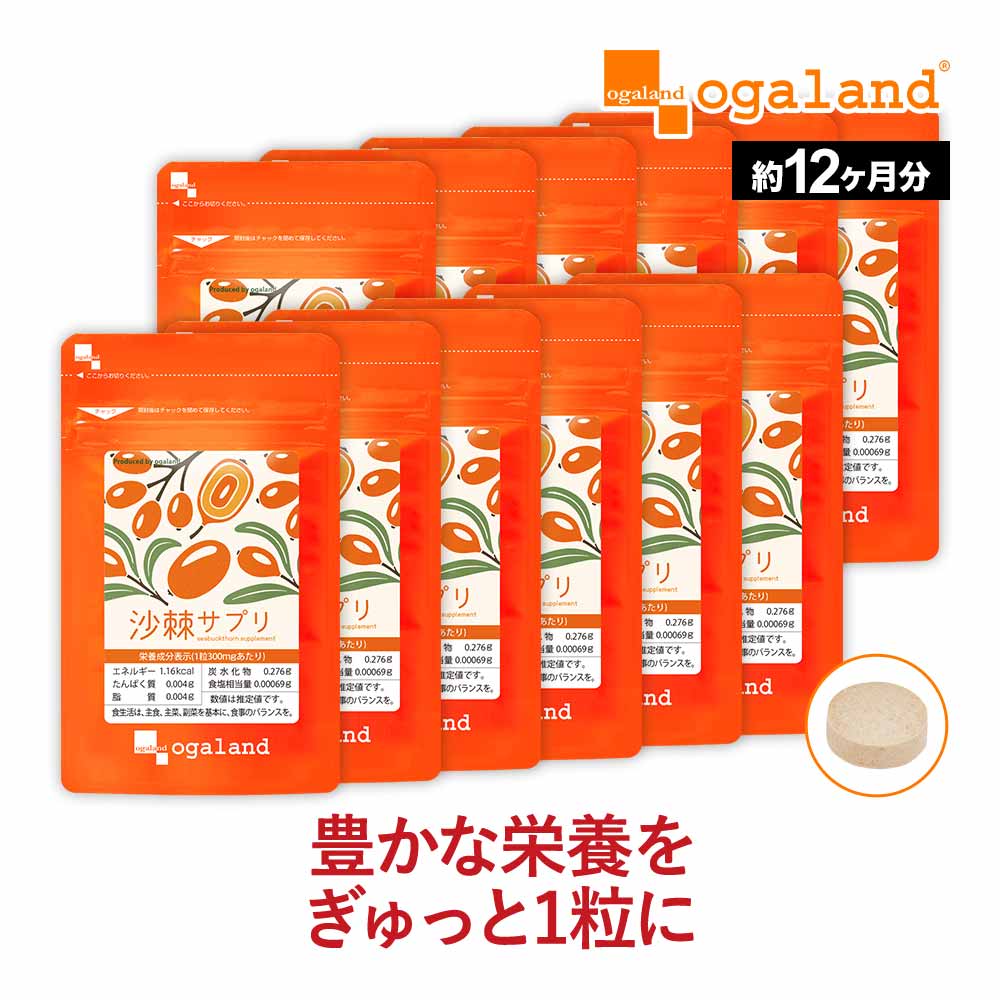 サジー サプリ（約12ヶ月分）沙棘 ヘスペリジン ナイアシン アミノ酸 美容 元気 送料無料 オーガランド..