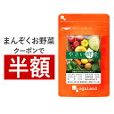【クーポンで半額】やさい酵素(...