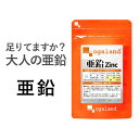 【50％OFFクーポン対象】亜鉛（約3ヶ月分）送料無料 サプリ 【栄養機能食品】 必須ミネラル の 亜鉛サプリメント は 男性の元気 に欠かせない成分 スカルプケア ネイルケア オーガランド 口コミ 評判 低価格 【M】 _JB_JD_JH