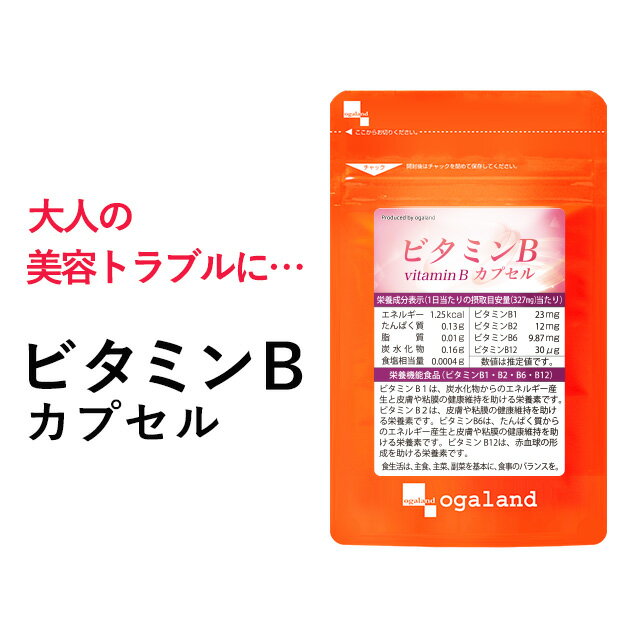 【エントリーでポイント最大10倍】ビタミンB カプセル（約3ヶ月分）送料無料 ビタミンB群 葉酸 ビタミンM イノシトール 配合 ビタミン サプリ サプリメント キレイと健康のベースアップに！ 美容トラブルに 健康 ダイエット 通販 【M】 _JB_JH