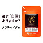 クラチャイダム（3個セット・180粒）アルギニン アスパラギン酸 BCAA アミノ酸 送料無料 元気がほしい 男性 に！自信を持ちたい方に！若々しく！クラチャイダム オーガランド サプリ サプリメント 黒ショウガ 健康 【メンズ】 _JH