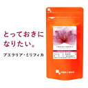 【エントリーでポイント最大10倍】プエラリアミリフィカ（3個セット・180粒）送料無料 1,000円 ポッキリ プエラリアミリフィカ末を1粒あたり 49.86mg配合 サプリメント【M】 _JB_JH【51ss】