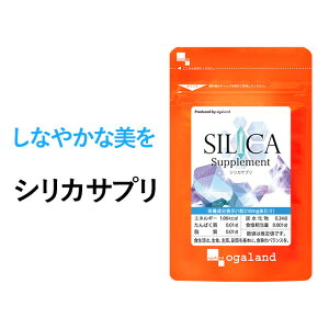 シリカサプリ（約3ヶ月分）送料無料 サプリメント サプリ ケイ素 シリカ 美容 ミネラル 健康 ダイエット キレイ 美容液 化粧水 シリカ水 より手軽 スギナ抽出物 植物性 _JB_JD_JH