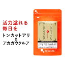 トンカットアリ＆アカガウクルア（60粒）送料無料 サプリメント サプリ 大人の元気・男性の毎日をサポート！ オーガランド マムシ L-シトルリン L-オルニチン マカ 亜鉛 健康 美容 【M】【メンズ】