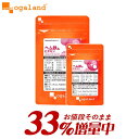 【33％増量中!!】ヘム鉄 & ビタミン（約3ヶ月分）サプリ