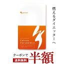 楽天市場人気商品