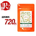 セントジョーンズワート（約1ヶ月分） ※賞味期限が2024年9月のため、訳あり価格で販売となります。※ サプリ リラックス GABA ( ギャバ ) & セントジョーンズワート配合 サプリメント オーガランド 健康 美容 送料無料