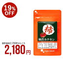 柿渋 カテキン (約3ヶ月分) 加齢 柿