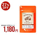 ケルセチン（約3ヶ月分） サプリメント健康 美容 亜麻仁油 送料無料 さらさら 国産玉ねぎ 配合 サプリ キレイと健康サポートに！食事で不足 若々しく ポリフェノール _JH