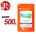 【訳あり・数量限定】γ-トコフェロール（約1ヶ月分）※賞味期限が2024年9月末までのため 訳アリ ！※送料無料 サプリメ…