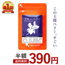 5/9～【24時間限定50%OFF】ブルーベリ