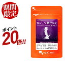 【ポイント20倍】ガジュツ 紫ウコン うこん 粒(約3ヶ月分)サプリメント サプリ 3粒あたり 紫うこん 630mg オーガランド 紫うこん ウコン ビタミン ...
