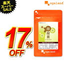 \17%OFF/【テレビで話題】 酪酸菌(約6ヶ月分) サプリオリゴ糖 乳酸菌 ビフィズス菌 との相性◎ 善玉菌 酪酸 フローラ ダイエット サプリメント 食物...