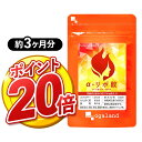 【ポイント20倍】燃焼系 ダイエット サプリ α-リポ酸(約3ヶ月分)低価格 送料無料 ダイエット サプリ αリポ酸 糖質 脂質 エネルギー 変換 燃焼系サイクル を助ける ダイエット の結果が出ない方や 美容 におすすめな ダイエットサプリ 口コミ 評判 オーガランド