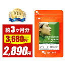 【タイムセール中!!】シャンピニオンエチケット(約3ヶ月分)送料無料 サプリ サプリメント オーガランド エチケット 若々しく 吐息ケア シャンピニオン エキス 乳酸菌 カテキン 飲むエチケット