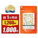 \SALE中/セントジョーンズワート(約1ヶ月分)サプリ リラックス GABA ( ギャバ ) & セントジョーンズワート配合 サプリメント オーガランド 健康...