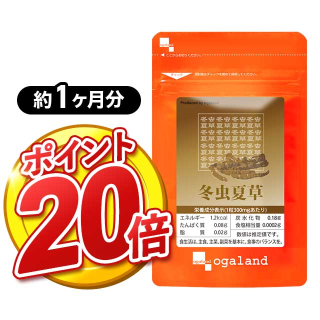 【ポイント20倍】冬虫夏草（約1ヶ月分）送料無料 アミノ酸 ミネラル サプリメント サプリ 冬虫花草 健康 元気 オーガランド supplement 生活習慣 健康 キノコ 茸 きのこ【メンズ】 _JH ポイント消化 送料無 ポイント消費 送料無料