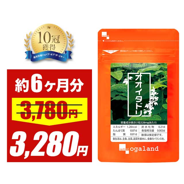 【大特価SALE】オオイタドリ（約6ヶ�