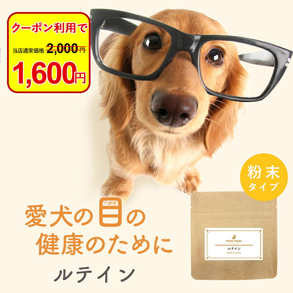 【今だけクーポンで20%OFF！】犬 目 サプリメント ルテイン 30g 涙やけ サプリ フード ウェット おやつ サポート シニア 老犬 高齢 パウダー 粉末 ドッグフード ふりかけ ごはん トッピング スープ ペット ケア 小型犬 中型犬 大型犬 国産 送料無料 nkdy oga012-10000032 ペットサプリもぐもぐ パッケージ画像