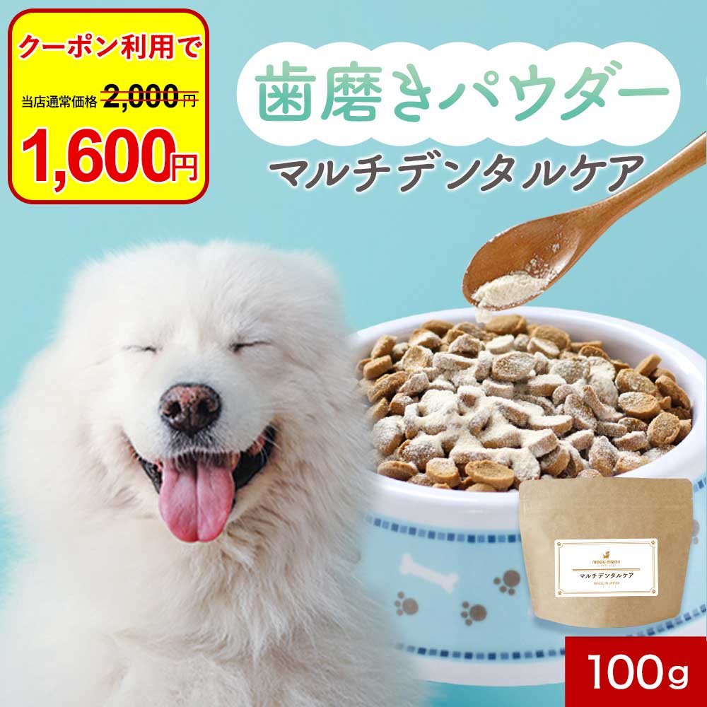 楽天市場】デンタル パウダーの通販