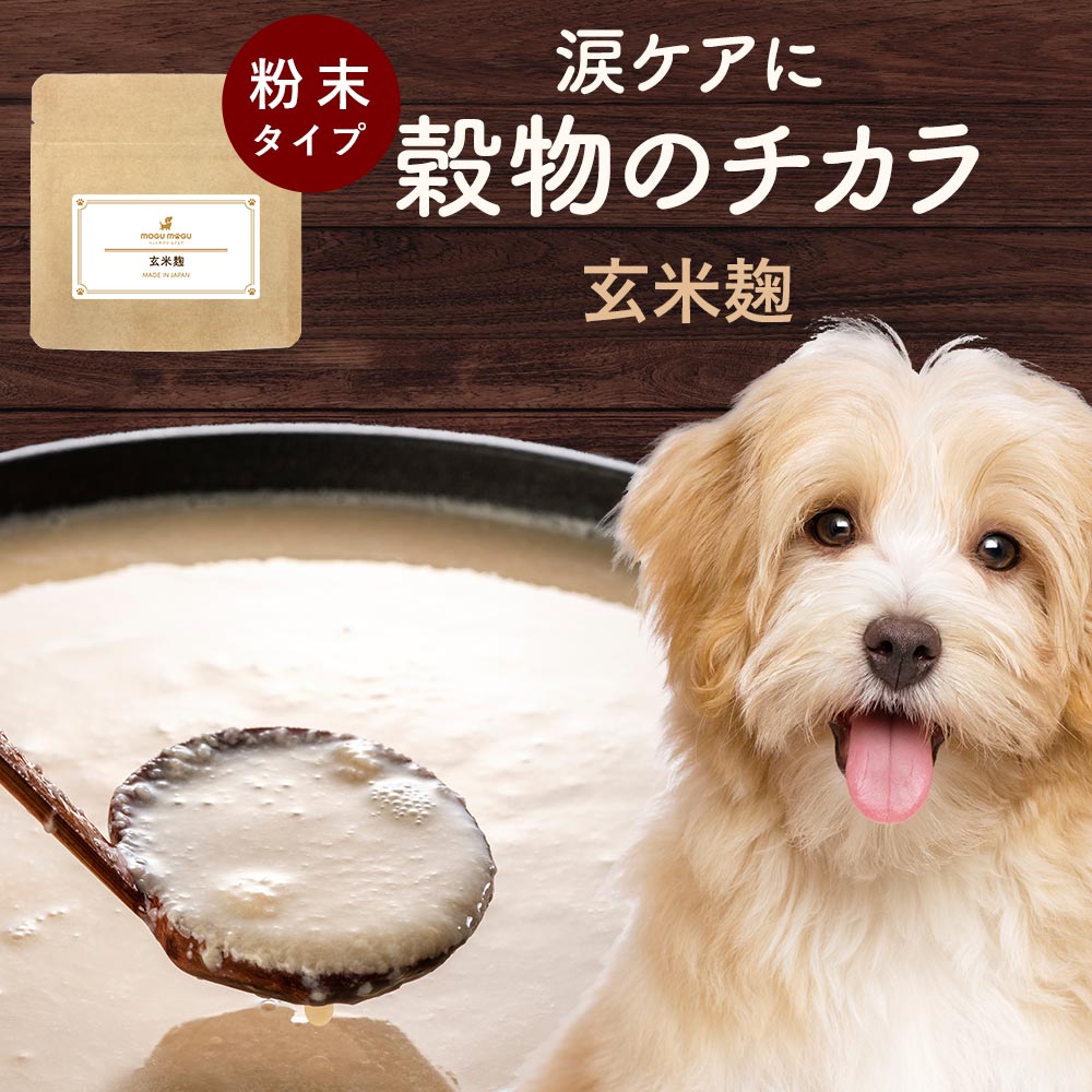 【LINE登録で35％OFFクーポン】犬 涙