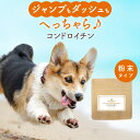 【全品対象30％OFF/半額クーポン】犬