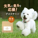 【全品対象30％OFF/半額クーポン】犬