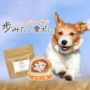 【ポイント20倍】緑イ貝 サプリメント 犬 てくてく 90粒 犬 関節 サプリメント おやつ サポート シニア 老犬 高齢 体調管理 骨 ドッグフード ごはん トッピング 猫 スープ ペット 小型犬 中型犬 大型犬 ヒューマングレード 錠剤 打錠 送料無料 nkdy