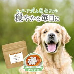 【LINE登録で20％OFFクーポン】犬 シニア サプリ いきいき 90粒 フード おやつ サポート サプリメント 老犬 高齢 体調管理 ドッグフード ごはん トッピング スープ ペット ケア 小型犬 中型犬 大型犬 錠剤 打錠 送料無料 レビュー特典 nkdy