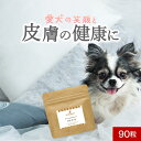 【全品対象30％OFF/半額クーポン】犬