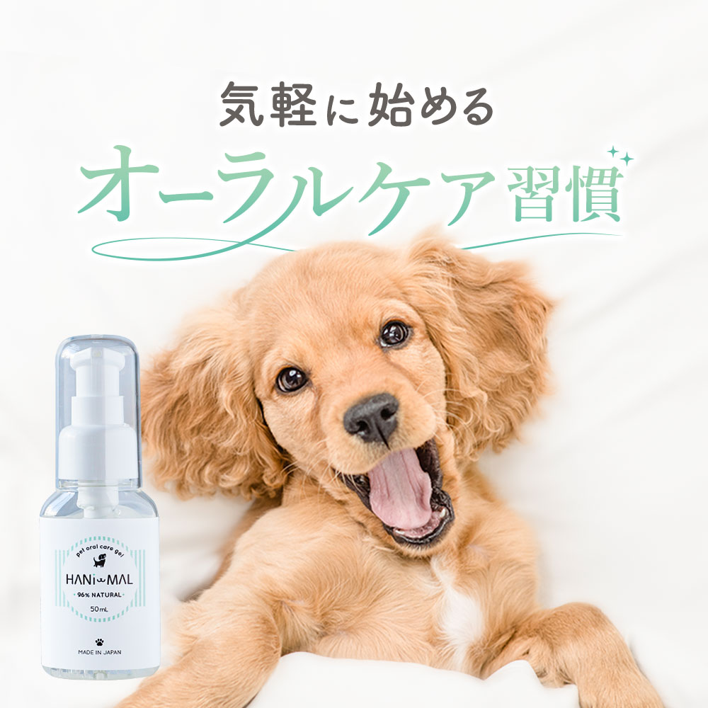 【LINE登録で35％OFFクーポン】犬 歯みがきジェル 歯磨き 歯磨き粉 歯石取り 無添加 オーラルケア 50ml ジェル デンタルケア 国産 フード おやつ サポート シニア 老犬 高齢 ドッグフード ごはん 小型犬 中型犬 大型犬 ハミガキ 歯みがき 送料無料 レビュー特典