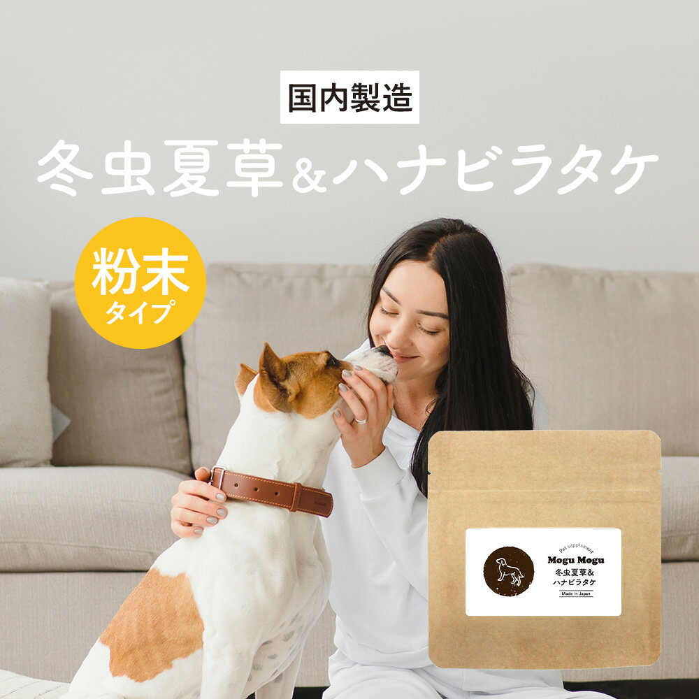 【LINE登録で35％OFFクーポン】犬 免