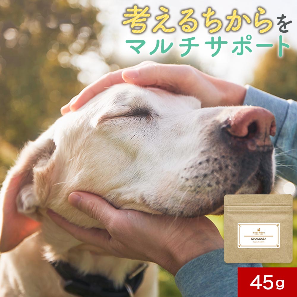 【LINE登録で35％OFFクーポン】シニアフード 犬 DH