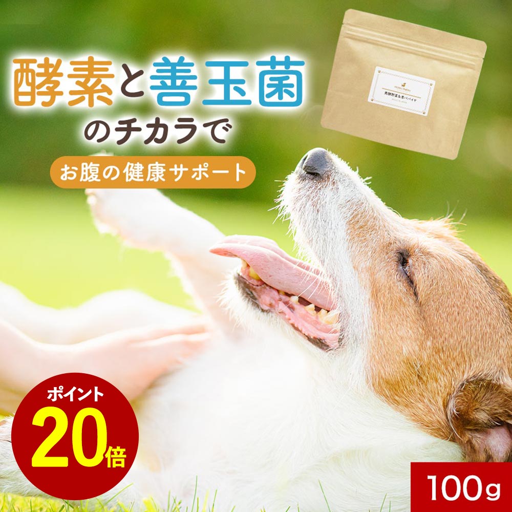 【全品ポイント20倍】犬 酵素 サプリ 発酵野菜＆青パパイヤ