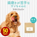 【お試し半額SALE】犬 歯磨き 歯磨き