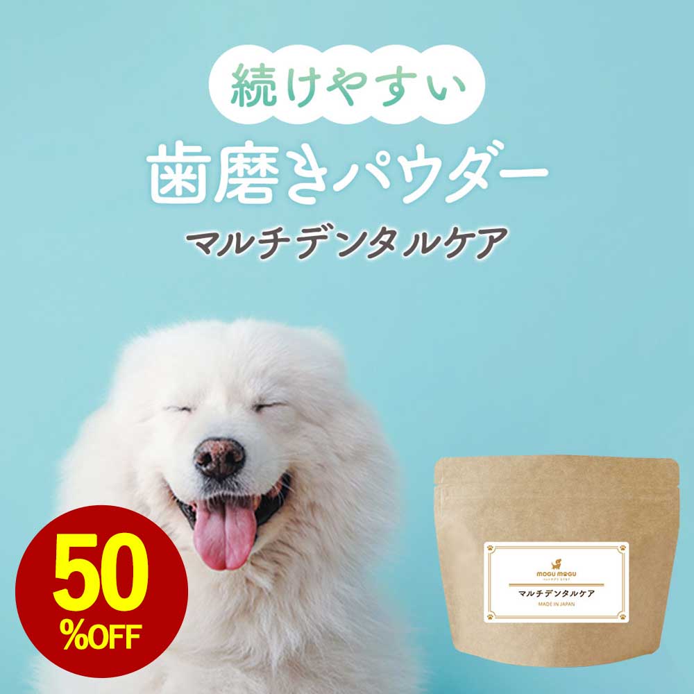 【お試し半額SALE】犬 歯磨き 歯磨き粉 歯石取り パウダー マルチ デンタルケア 100g ふりかけ サプリ フード ウェット おやつ シニア 老犬 高齢 体調管理 粉末 ドッグフード ごはん トッピング スープ ペット 口腔 小型犬 中型犬 大型犬 1000円ポッキリ 送料無料 nkdy