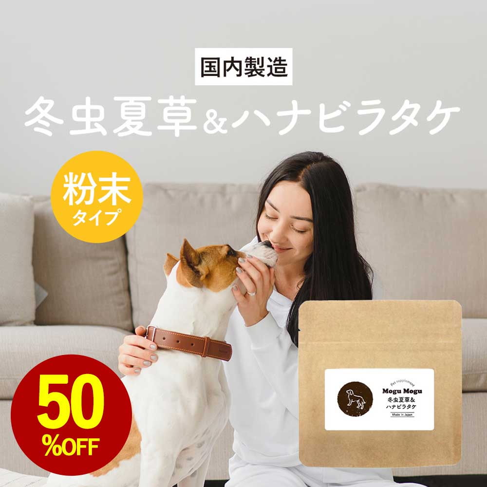 【お試し半額SALE】犬 免疫力 サプリメント 冬虫夏草＆ハナビラタケ 30g ウェット おやつ サポート サプリ シニア 老犬 高齢 パウダー 粉末 ドッグフード ふりかけ ごはん トッピング サプリ スープ 小型犬 中型犬 大型犬 1000円ポッキリ 送料無料 レビュー特典 nkdy