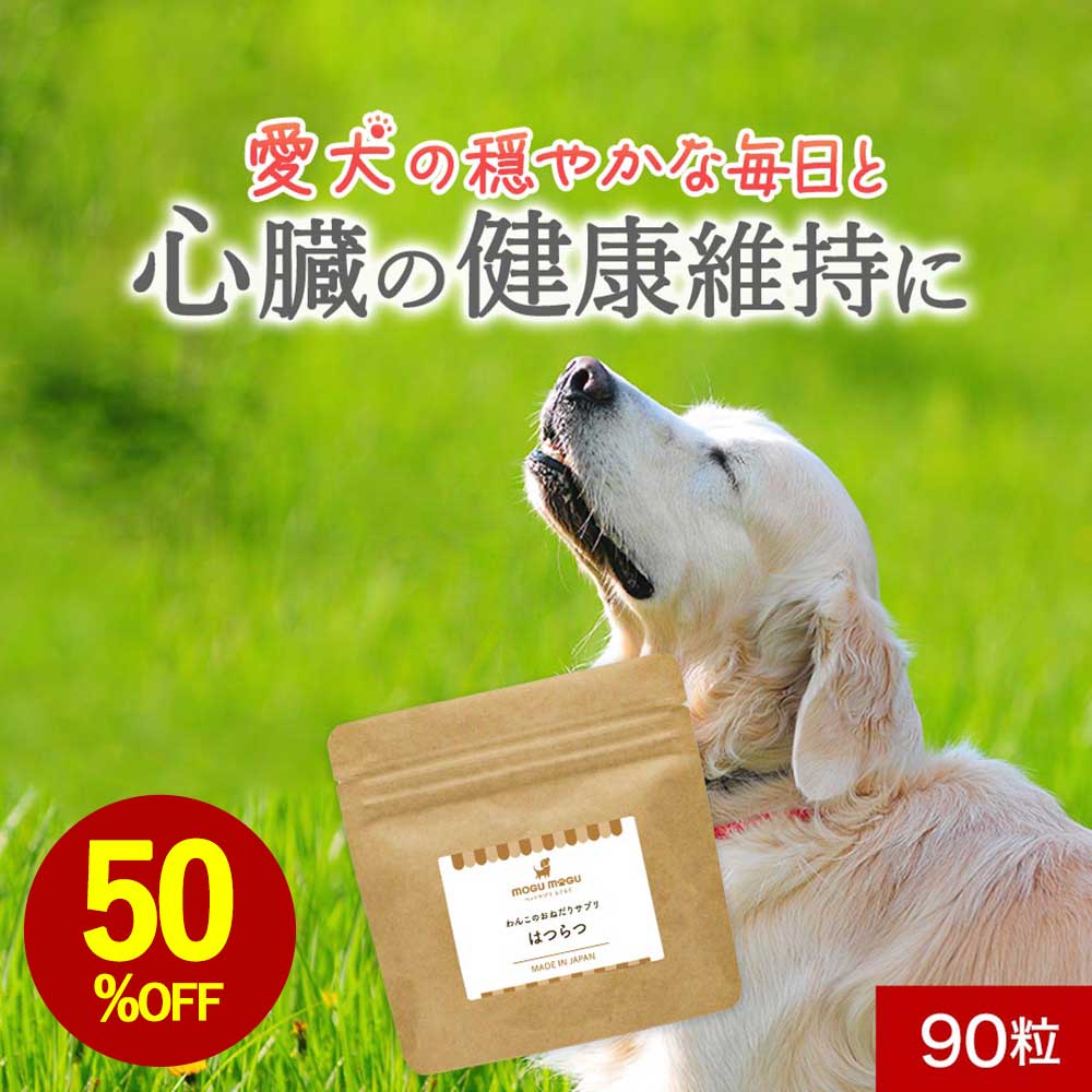 【お試し半額SALE】犬 心臓 サプリメ