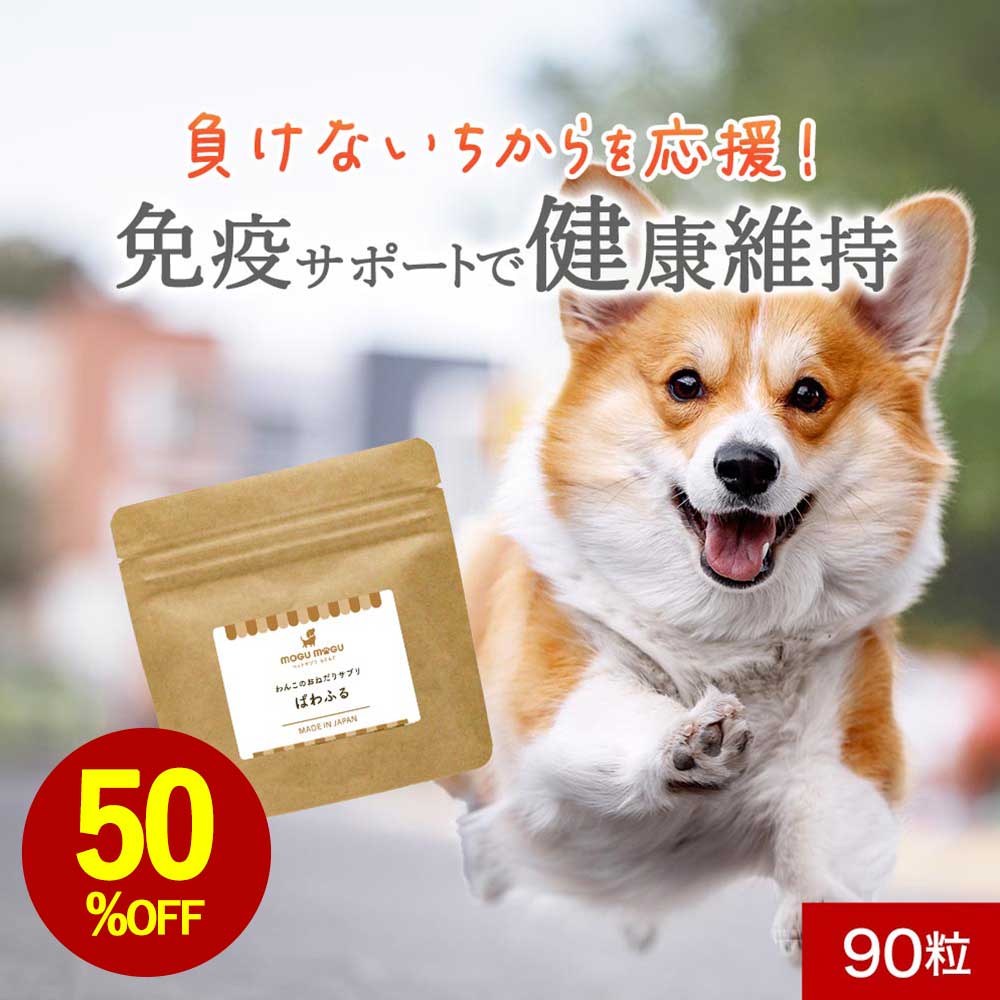 犬 乳酸菌 サプリ ぱわふる 90粒 免疫力 サプリメント おやつ サポート シニア 老犬 高齢 体調管理 骨 ドッグフード ごはん トッピング スープ ペット 小型犬 中型犬 大型犬 ヒューマングレード 錠剤 打錠 送料無料 レビュー特典 nkdy