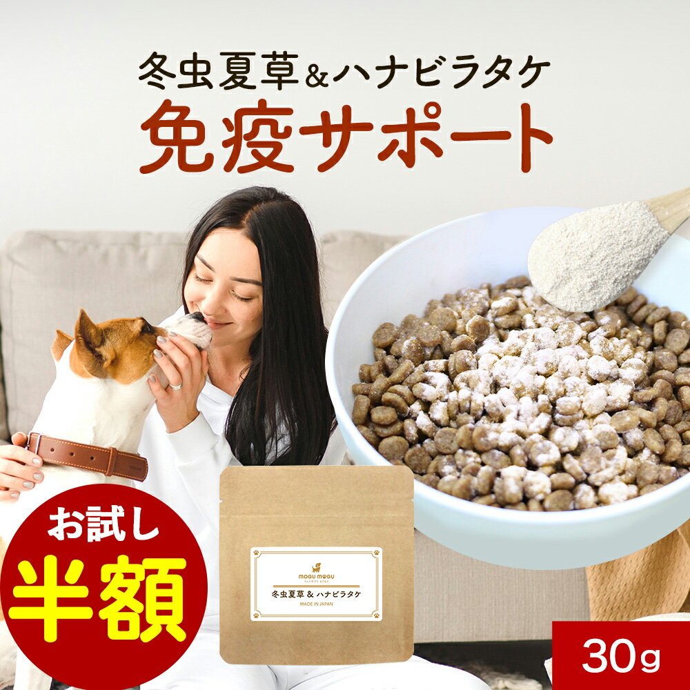 【お試し半額セール！】犬 免疫力 サプリメント 冬虫夏草＆ハナビラタケ 30g ウェット おやつ サポート サプリ シニア 老犬 高齢 パウダー 粉末 ドッグフード ふりかけ ごはん トッピング サプリ 小型犬 中型犬 大型犬 送料無料 nkdy