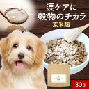 【39%OFFクーポン配布中!】犬 涙やけ サプリメント 玄米麹 30g 涙焼け 目 目やに フード ウェット サプリ おやつ サポート シニア 老犬 高齢 パウダー 粉末 ドッグフード ふりかけ ごはん トッピング スープ ペット 小型犬 中型犬 大型犬 送料無料 nkdy