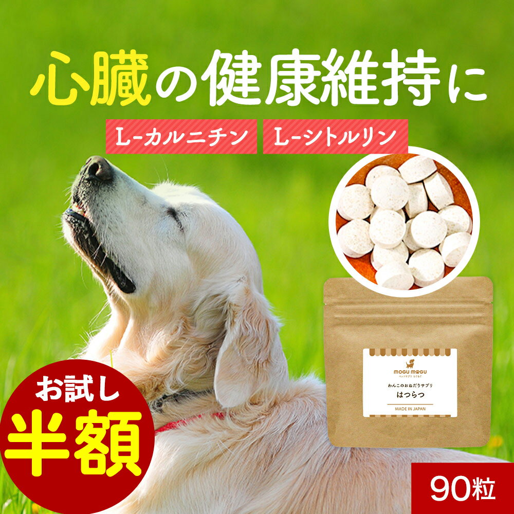 【お試し半額セール！】犬 心臓 サ�