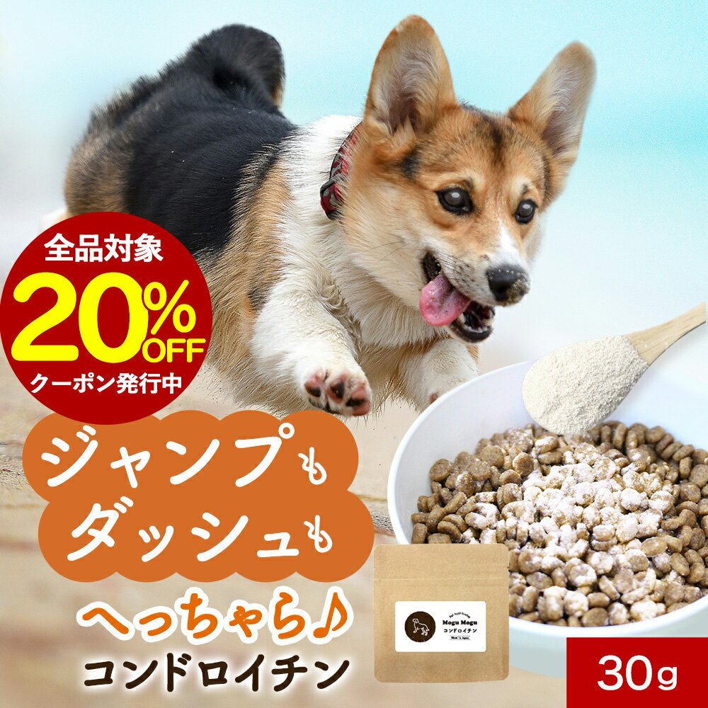 【全品20％OFFクーポン】犬 関節 サプリメント コンドロイチン 30g サプリ ウェット おやつ サポート シニア 老犬 高齢 骨 パウダー 粉末 ドッグフード ふりかけ ごはん トッピング サプリ スープ ペット ケア 小型犬 中型犬 大型犬 送料無料 nkdyのサムネイル